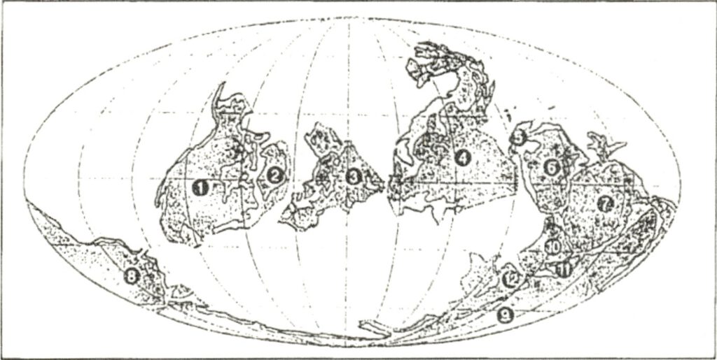 Abbildung 05 Die Erde im Unterordovizium vor 500 480 Millionen Jahren Aus Paturi 1991